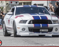 TSR Watermark - 0650